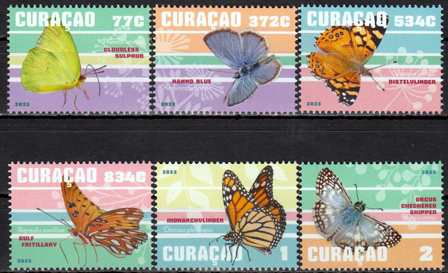 Vögel 2023, Flamingo, Papagei, Caracara