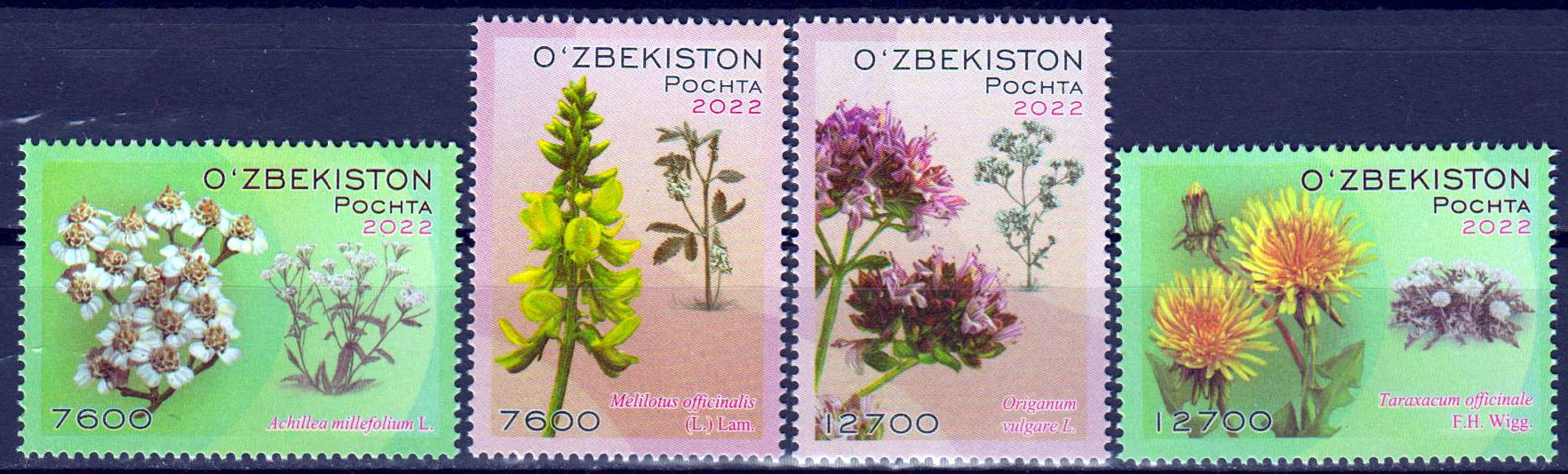 Flora 2022, Steinklee, Schafgarbe