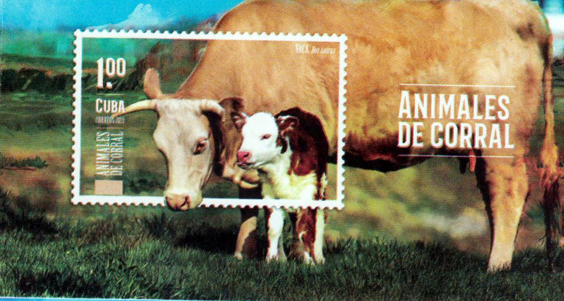 Block: Tiere 2019, Kühe