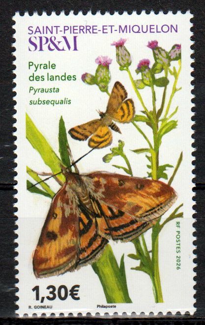 Heidefalter 2026, Pyrale des Landes