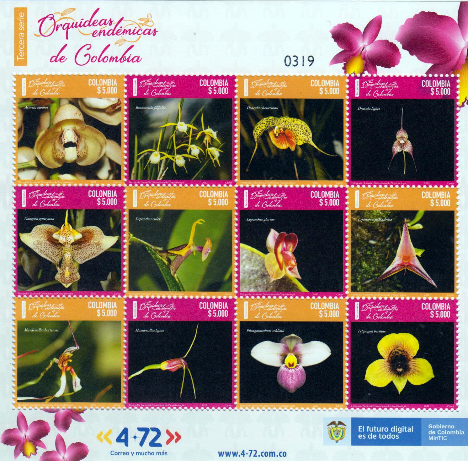 Endemische Orchideen 2022