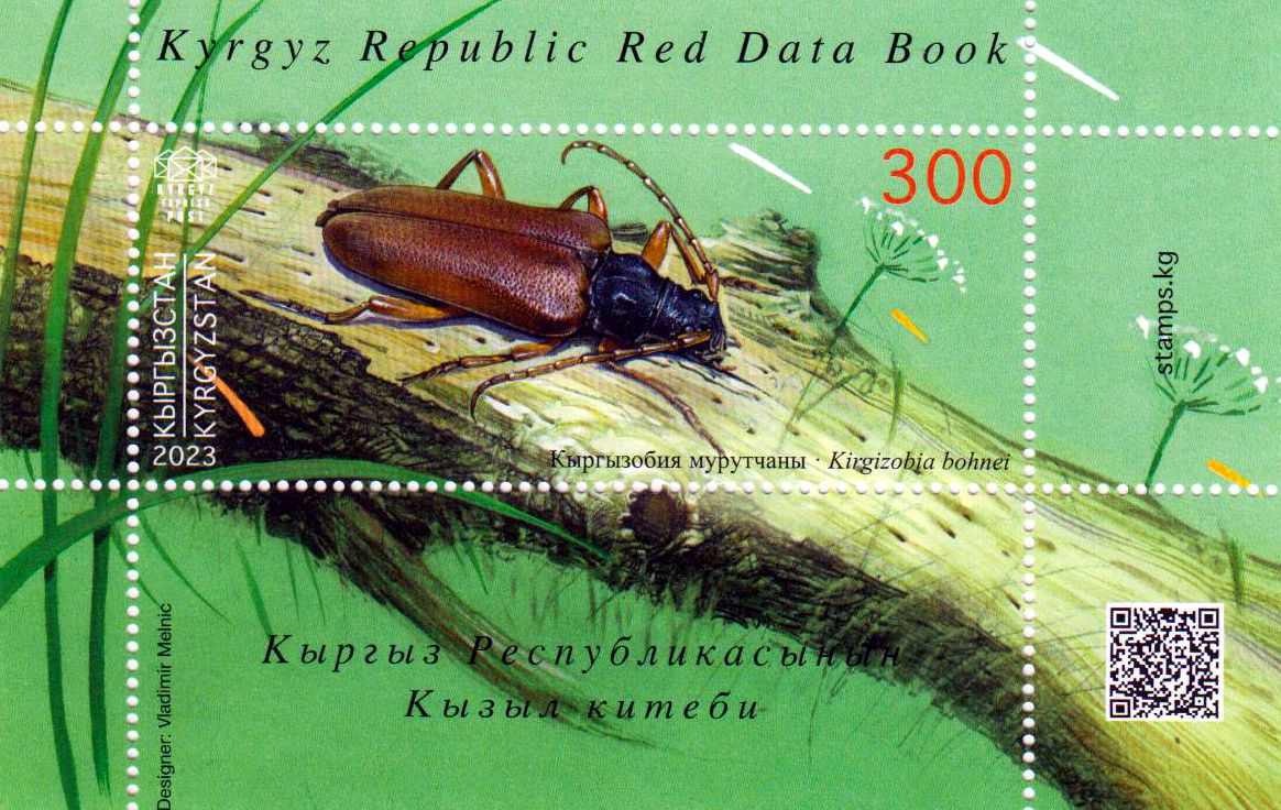 Block: Rotes Buch 2023, Käfer