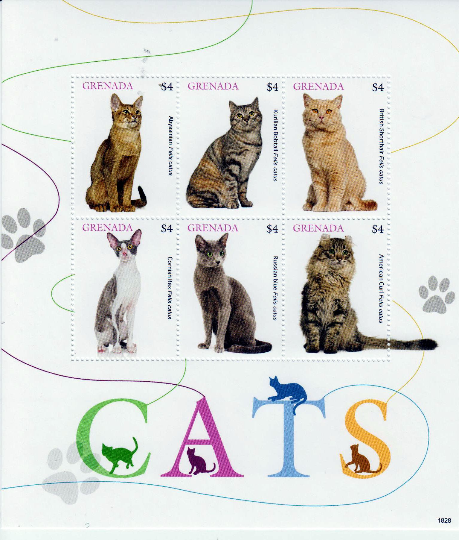 Katzen 2018