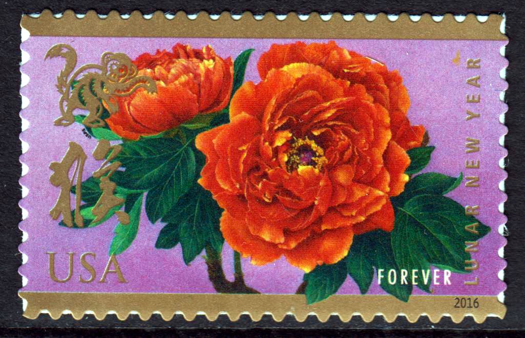Jahr des Affen, Blume,sk (16P13)