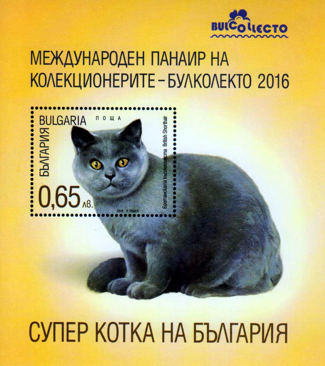 Block: Katze 2016