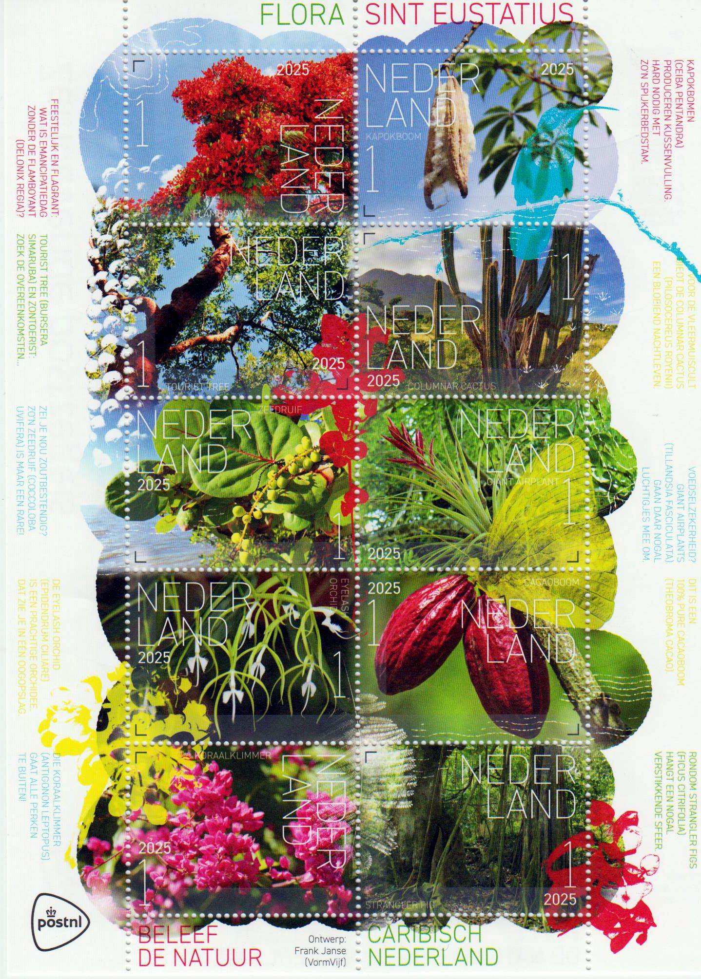 Flora St. Eustache 2025