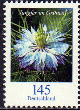 Dauer: Blume, Jungfer im Grünen 2018