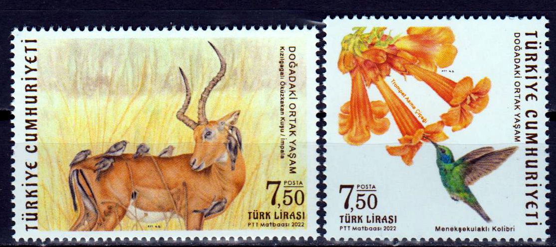 Leben in der Natur 2022, Antilope, Blume, Vogel