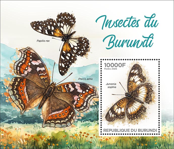 Block: Insekten 2026, Schmetterlinge