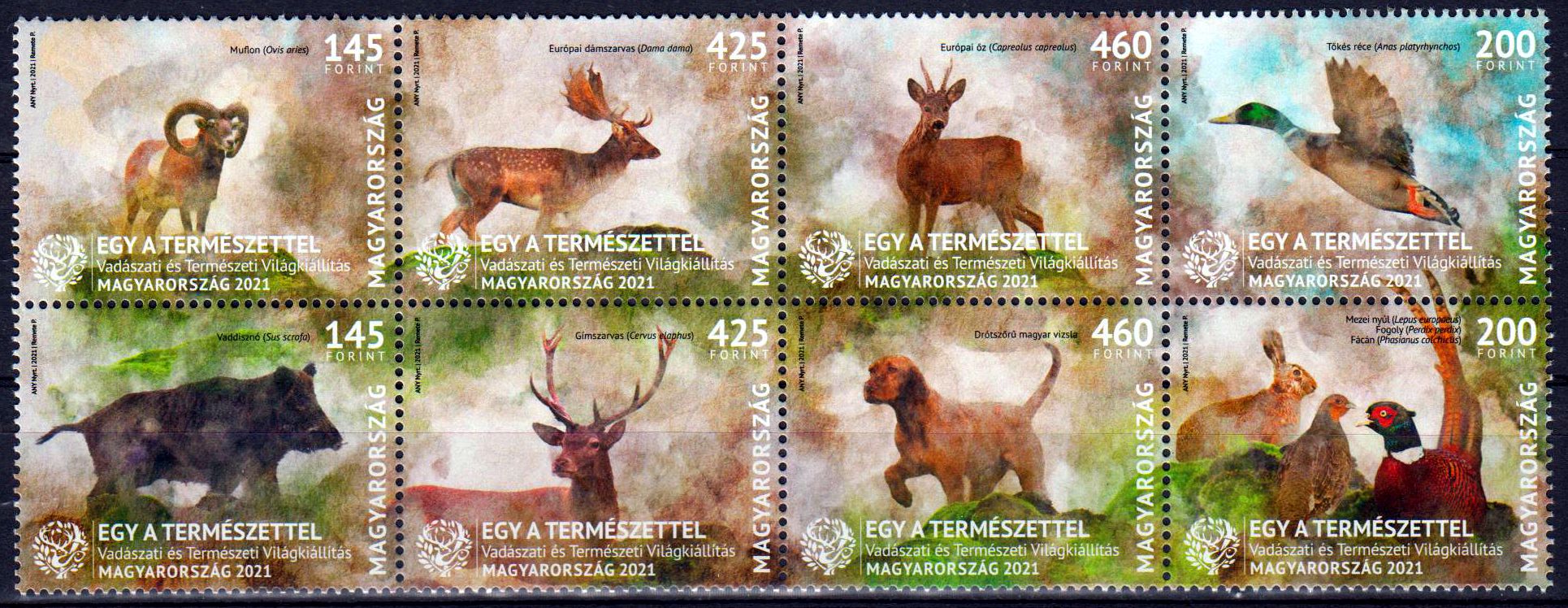 Eins mit der Natur 2021, Tiere