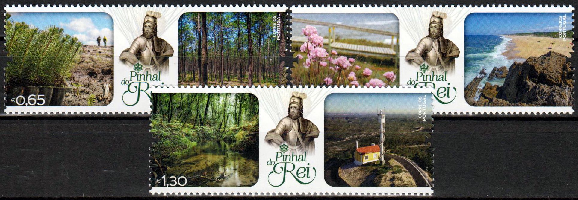 Königskieferwald 2024