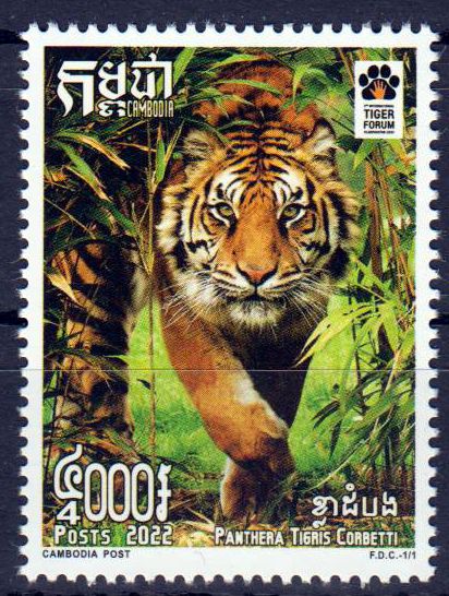 Erhaltung der Tigerpopulation 2022