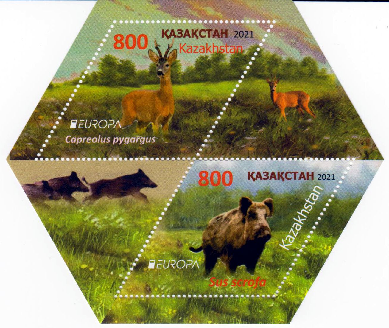 Block: Europa 2021, Reh, Wildschwein