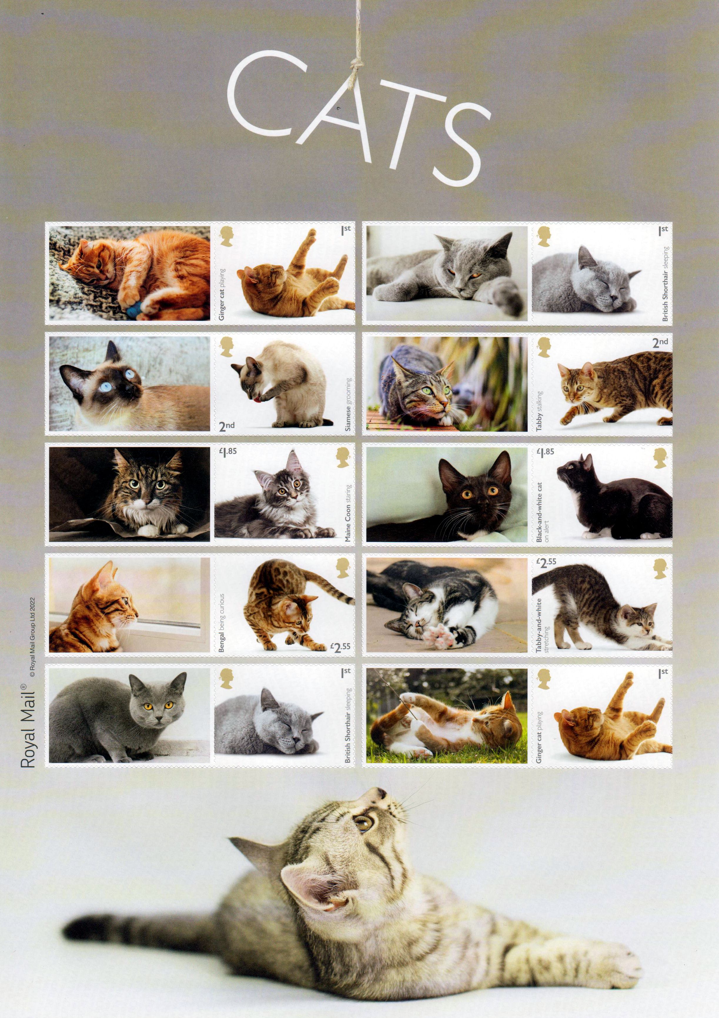 Katzen 2022, sk, Collector sheet