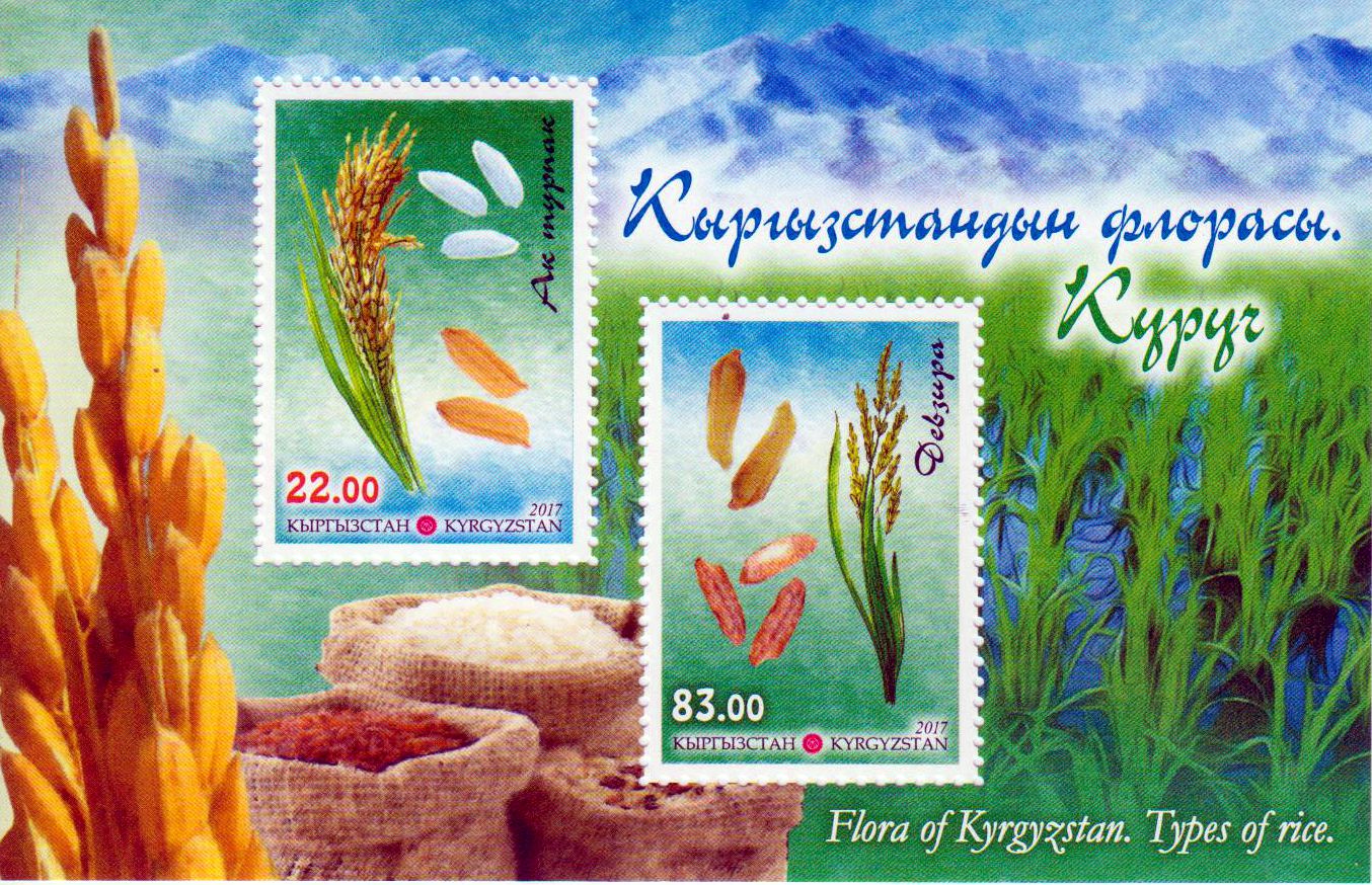Block: Reissorten 2017
