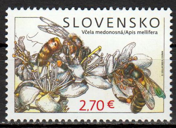 Bienen 2023, Naturschutz