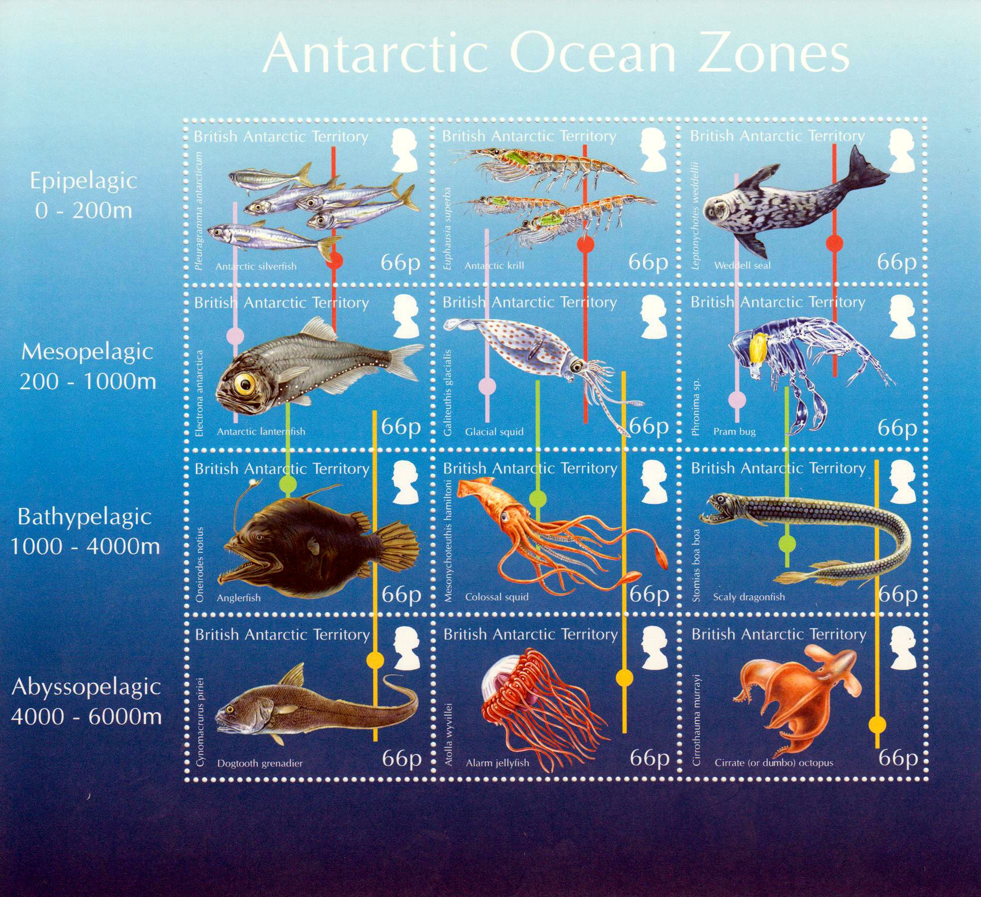 Zdr. Ozean in Zonen, Fische