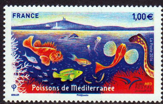 Euromed, Fische