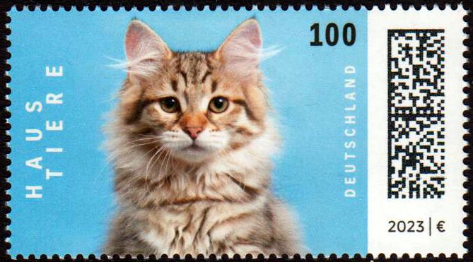 Haustiere 2023, Katze