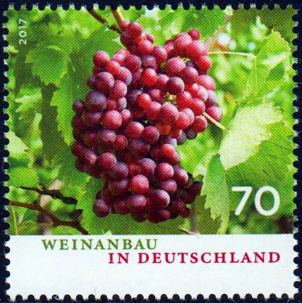 Weinanbau in Deutschland 2017