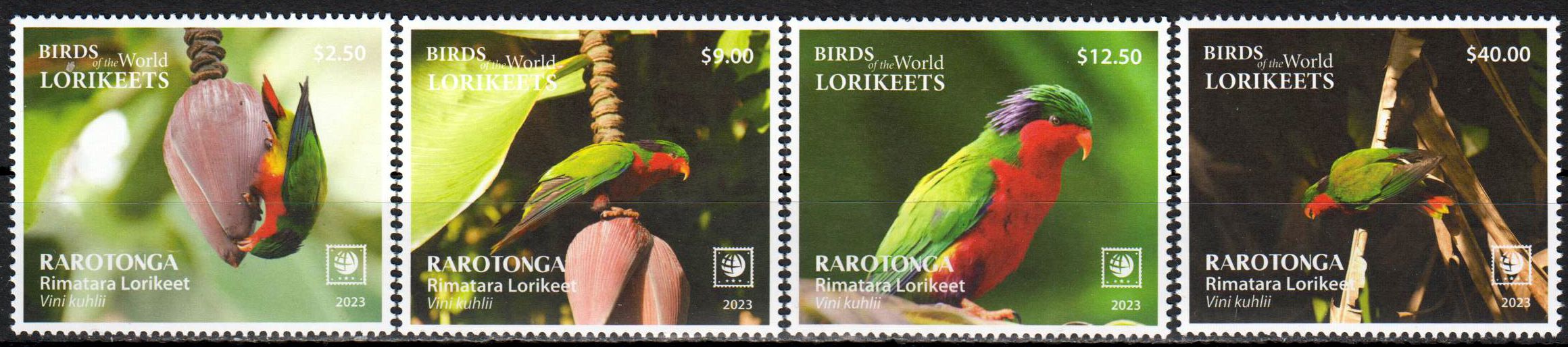 Rarotonga Rimatara-Lorikeets 2023, Vögel