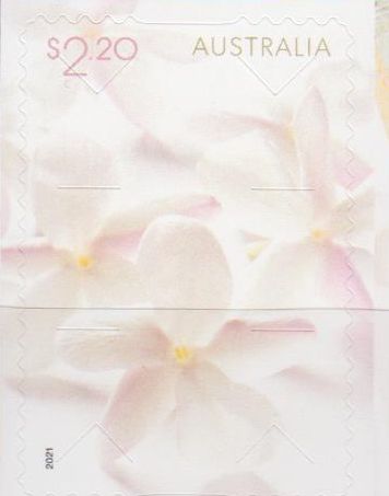 Hochzeit 2021, Blumen, sk, a.MH