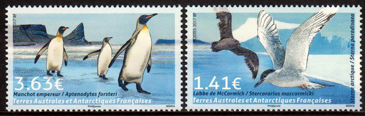 Vögel, Grönland, Möwe, Pinguin GA