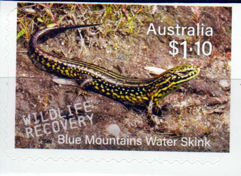 Skink 2020, sk, a.MH