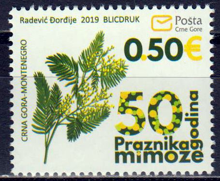 Momosa Festival 2019