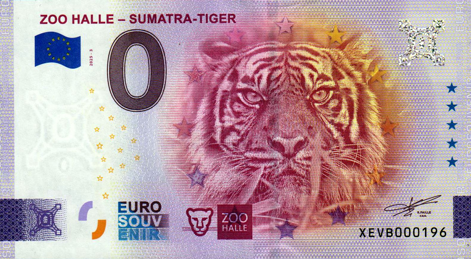 Zoo Halle - Sumatra-Tiger 2025-3