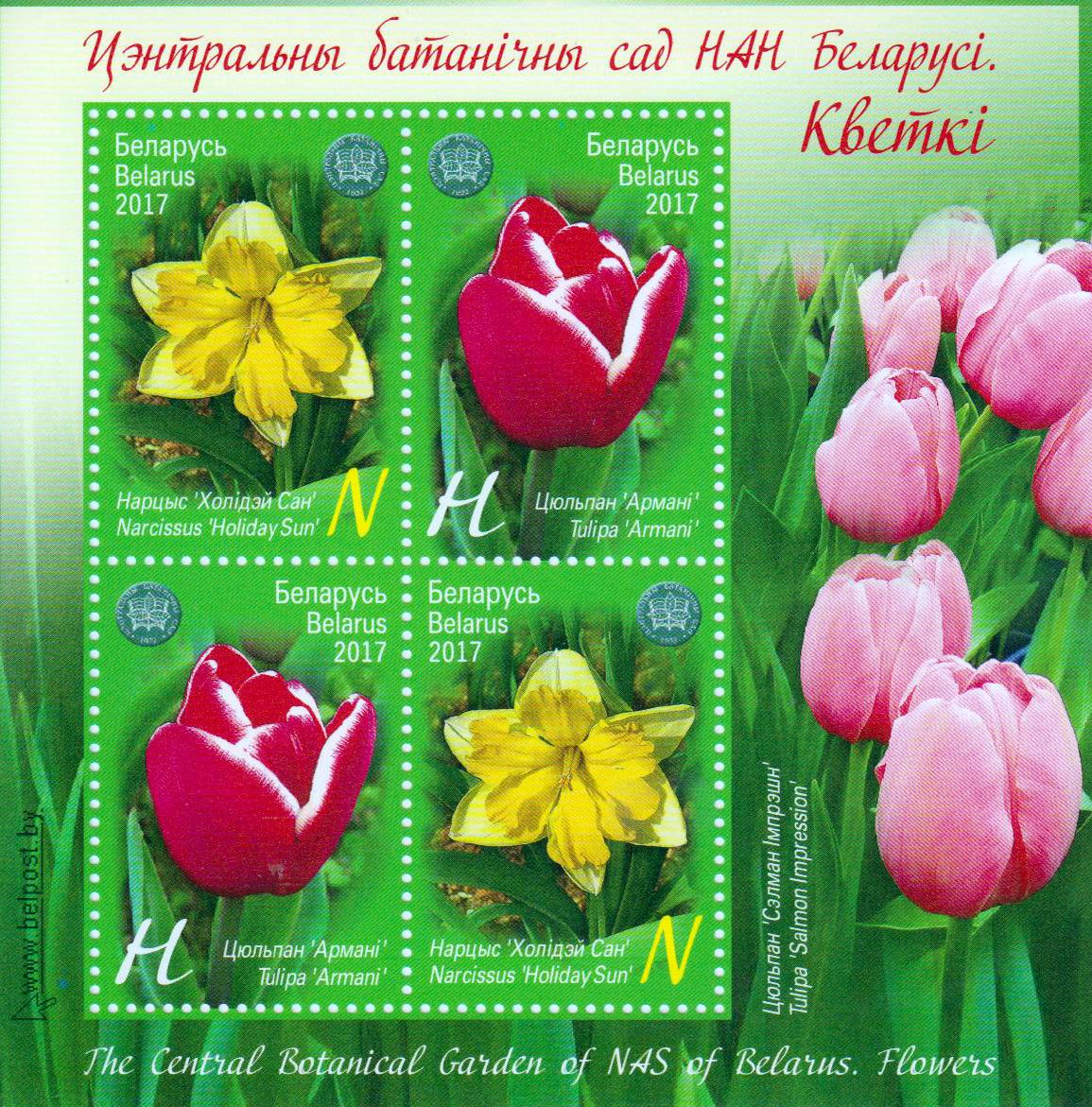 Block: Der Botanische Garten, Tulpe, Narzisse
