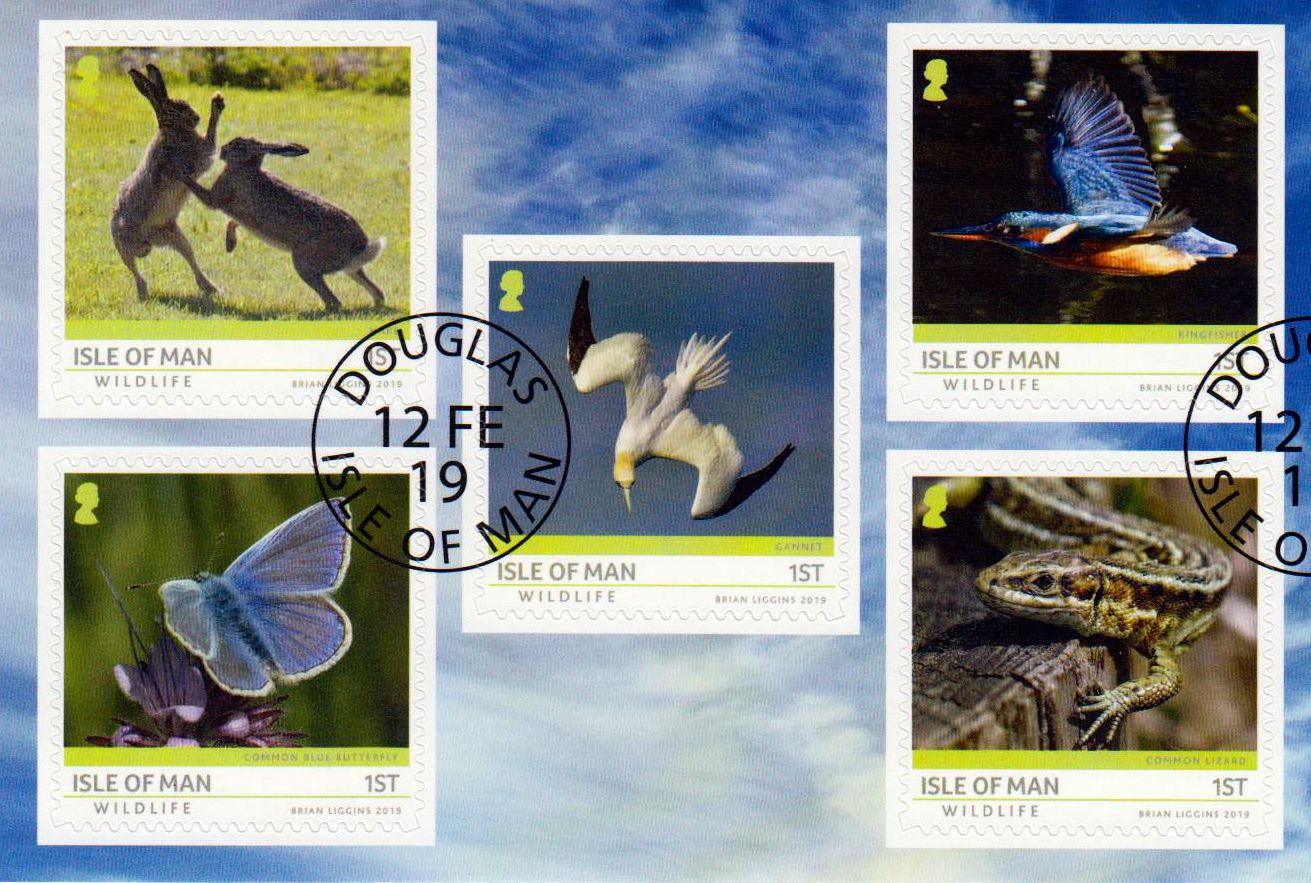 Tierwelt 2019, Schmetterling,Hase, Vögel, sk, a.MH, gestempelt