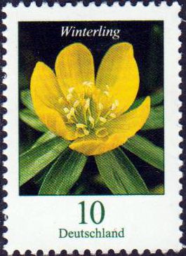 Dauer: Winterling 2017, Blume, 10 Cent