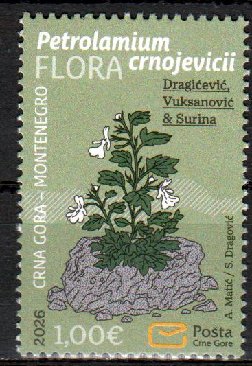 Flora 2026, Petrolamium crnojevicii