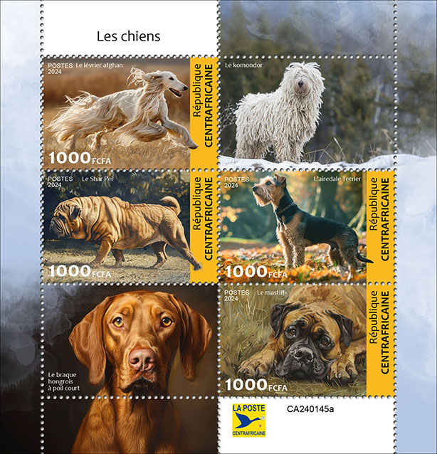 Hunde 2024