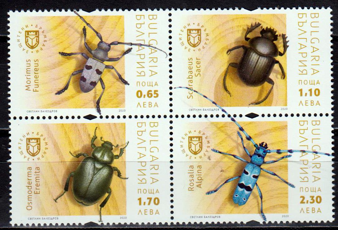 Käfer 2020, geschützte Insekten