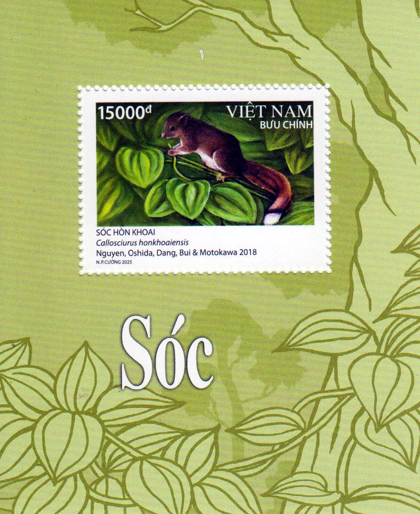 Block: Eichhörnchen 2025