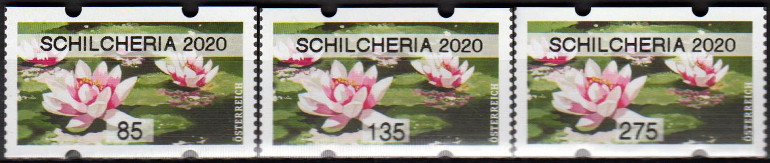 Blumen 2020, Seerose mit Aufdruck Schickeria 2020