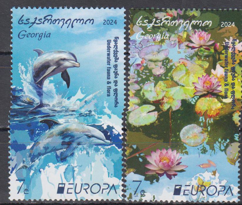 Europa 2024, Seerosen und Delfine