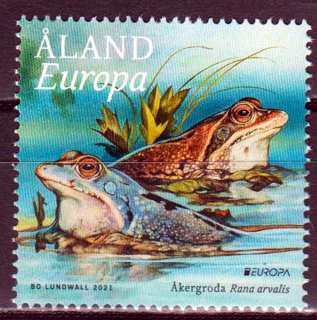 Europa 202, Frösche