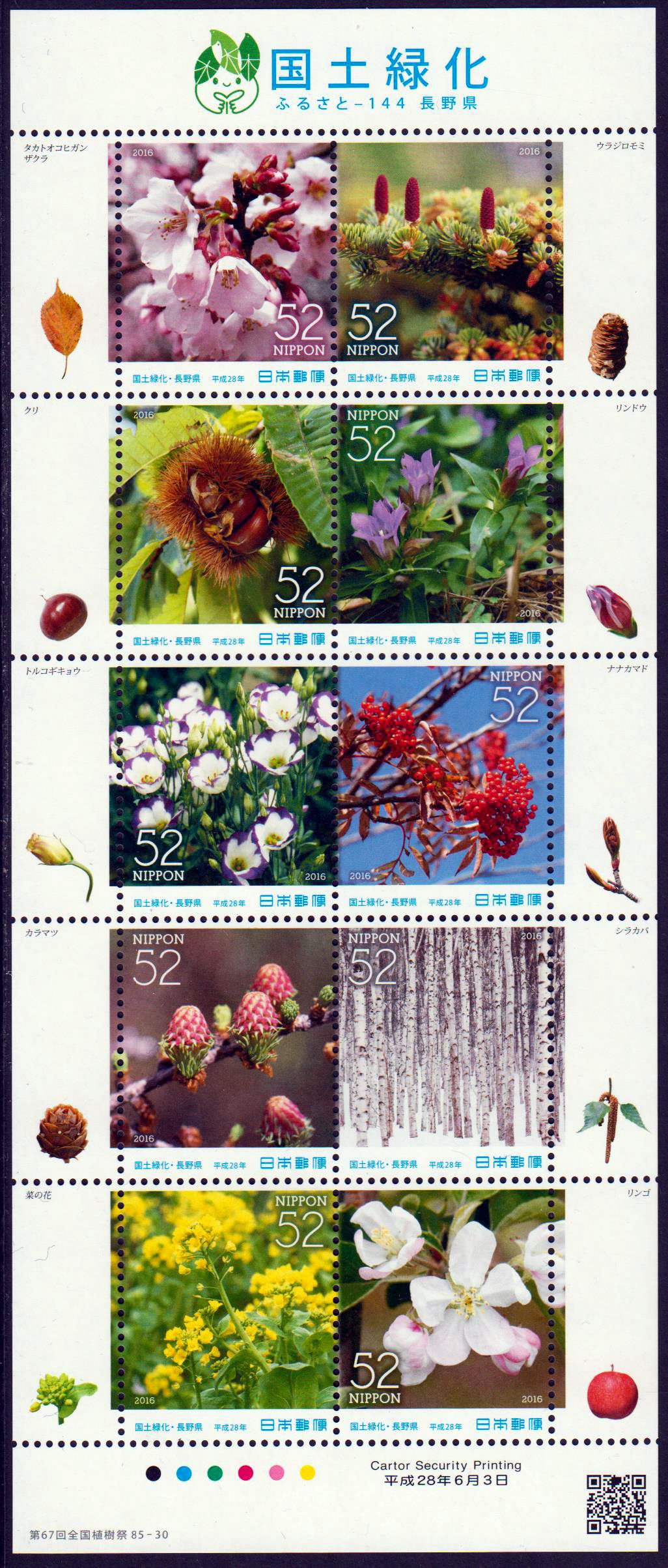 Aufforstungsmaßnahmen, Blüten