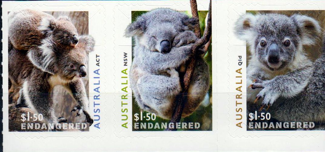 Schutz der Koalas 2024, sk, a.MH