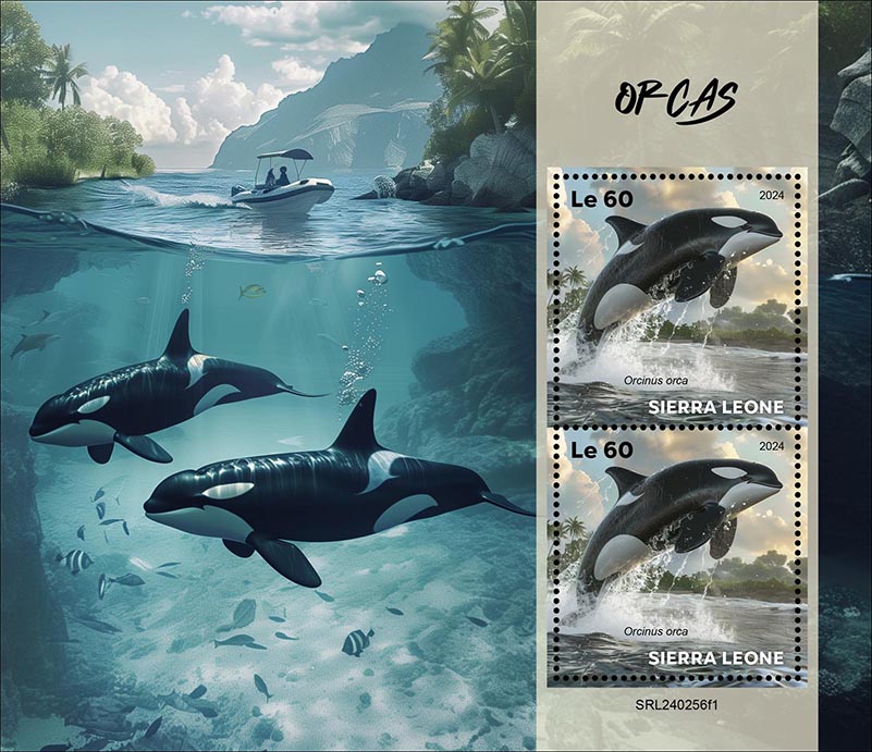 Block: Orcas I 2024