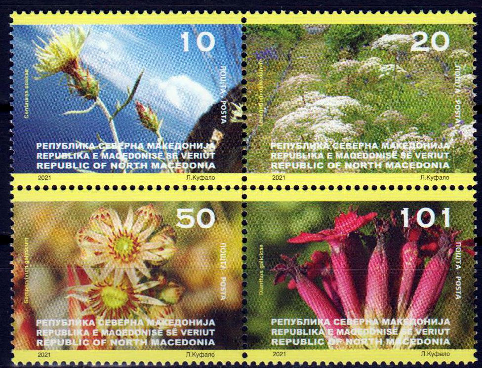 Einheimische Flora 2021