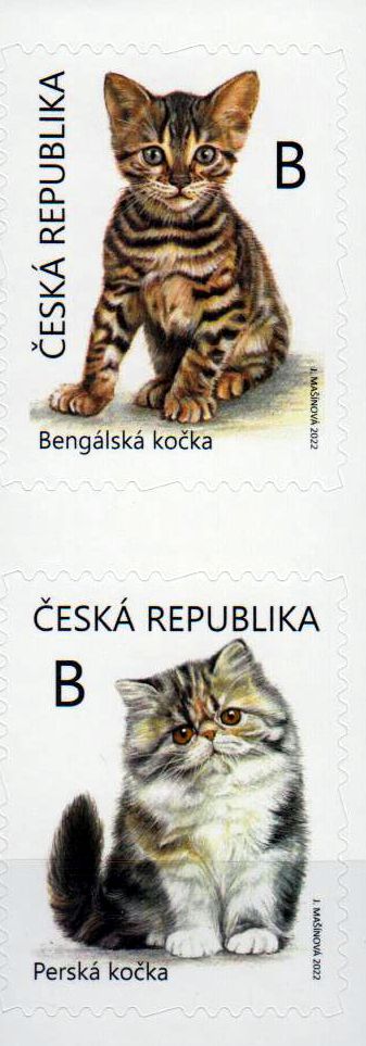 Katzen 2022, sk, aus MH