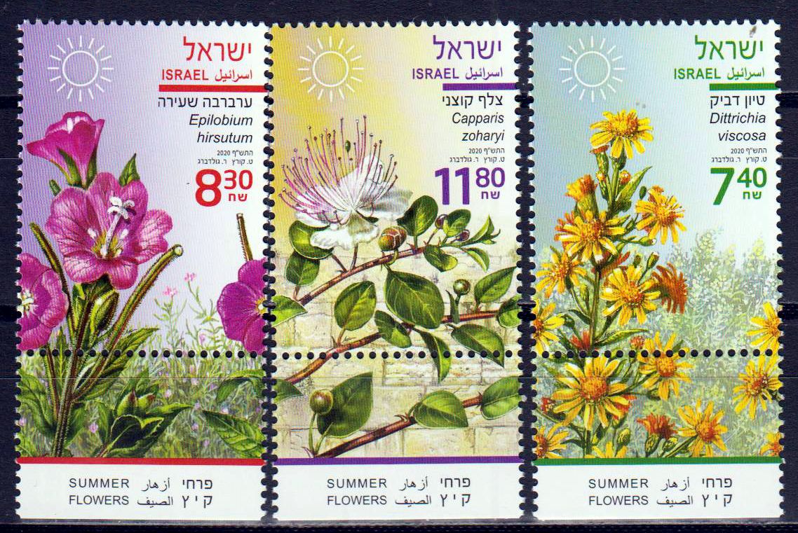 Blumen 2020