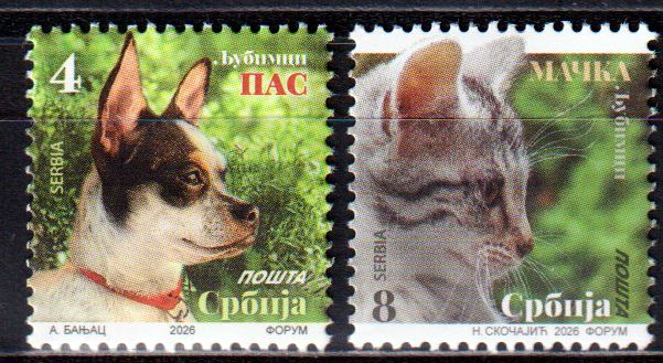 Dauer: Katze und Hund 2026