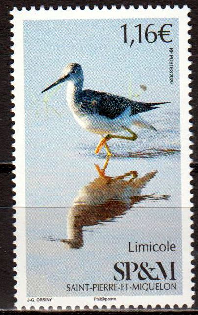 Vogel 2020, Limicole