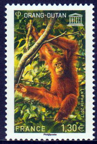 UNESCO 2017, Orang Utan