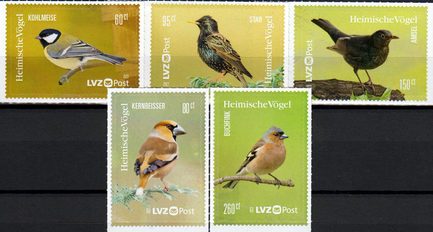 Heimische Vögel 2022